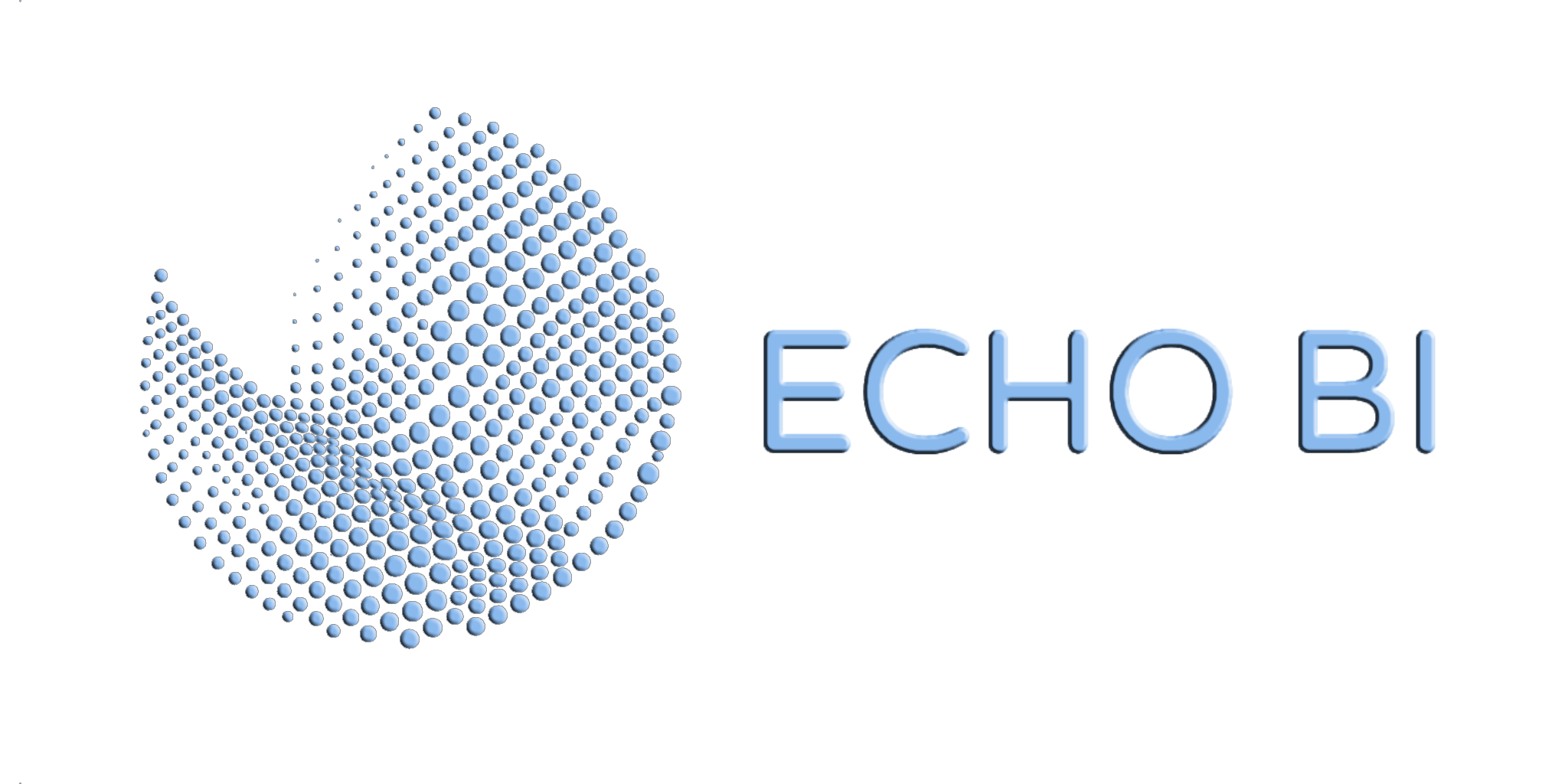 Echo BI